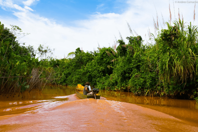 Wellington guides his boat through a narrow channel of the contaminated Doce River near the community of Regencia. Listen to his story and the challenges facing those who rely on traditional livelihoods. 