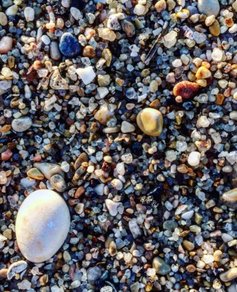 butterfly123-cairo-egypt