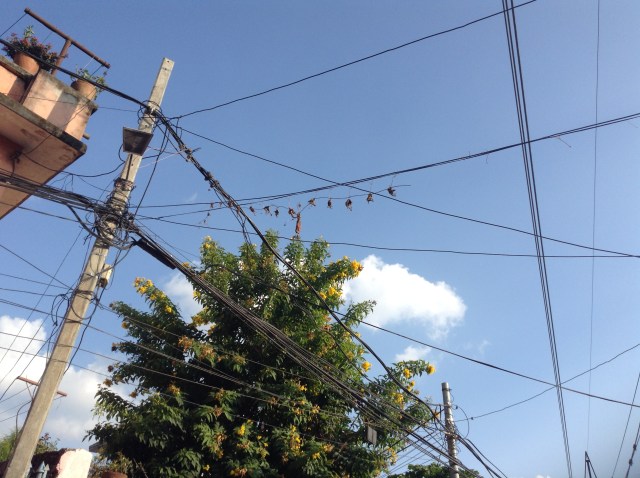 Photo by Out of Eden Learn student dawadawa in Kathmandu, Nepal.