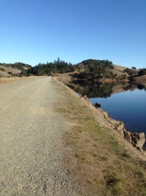 floatingbrick-photo-1