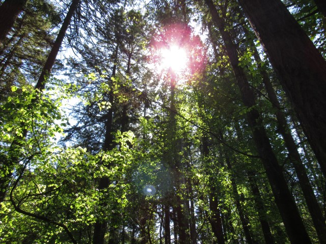 mrrm02-beaverton-or-us-2