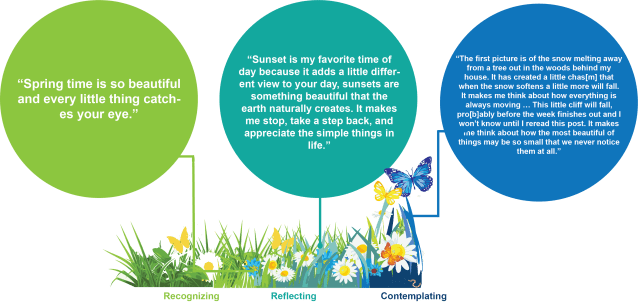 beautydiagram 10.5.17.png