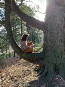 This is a picture of a student sitting in a tree.